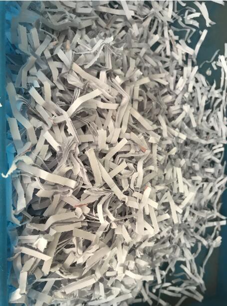 shredding paper.jpg